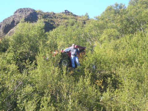 2001 Jeep Wrangler - A man stands beside a red vehicle that appears to be stuck in dense foliage on a hillside.