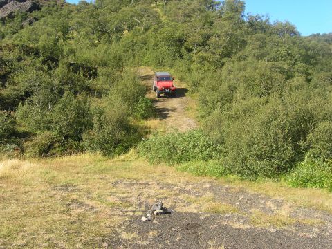 2001 Jeep Wrangler - A red Jeep Wrangler navigates a dirt track through a lush, green landscape.
