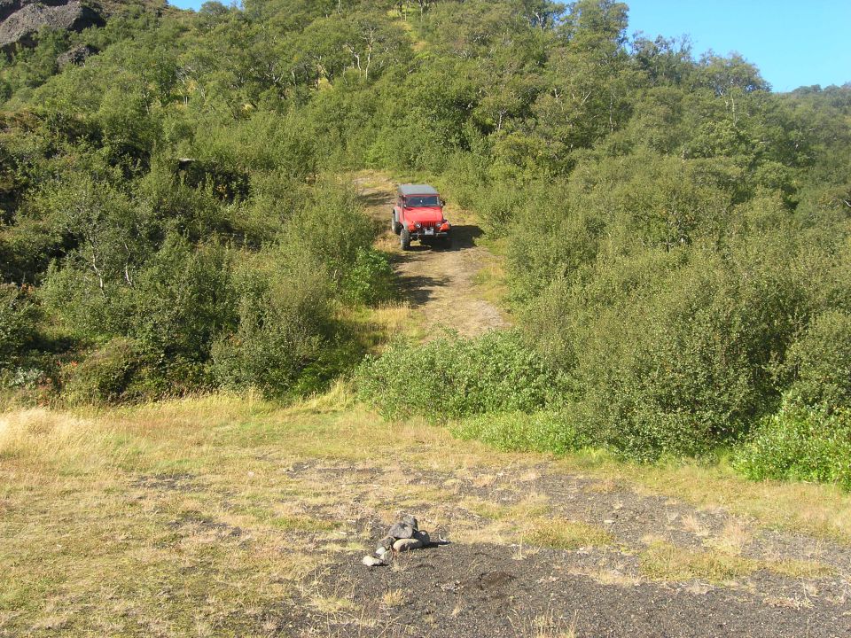 Red Jeep Wrangler driving up a dirt path surrounded by green foliage