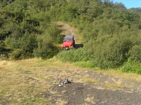 2001 Jeep Wrangler - A red 2001 Jeep TJ navigates a dirt path through a wooded, hilly landscape.
