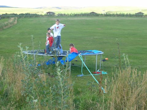2001 Jeep Wrangler - Several children are enjoying a trampoline in a wide-open, grassy area with a few distant buildings.