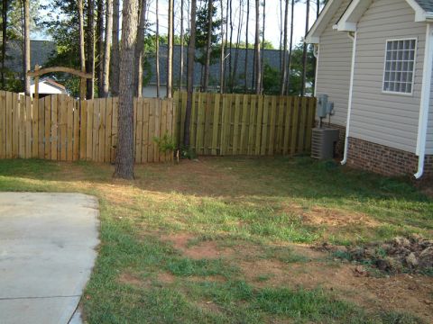 1986 Ford Bronco - A backyard scene a wooden fence, a portion of a house, and trees. A concrete patio is visible in the foreground.