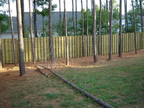 1986 Ford Bronco - A backyard scene a wooden fence, pine trees, and a fallen log on the grass. The Supermotors logo is visible in the lower right corner.