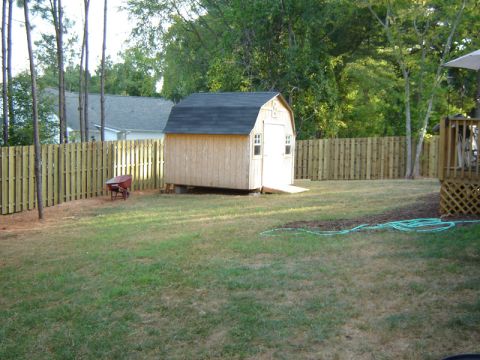 1986 Ford Bronco - Backyard scene a shed, wheelbarrow, and fence.
