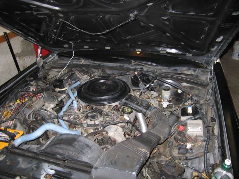 1991 Ford LTD Crown Victoria - Open engine bay of a car showing the round air cleaner, blue coolant hoses, and wiring under a raised hood in a garage.