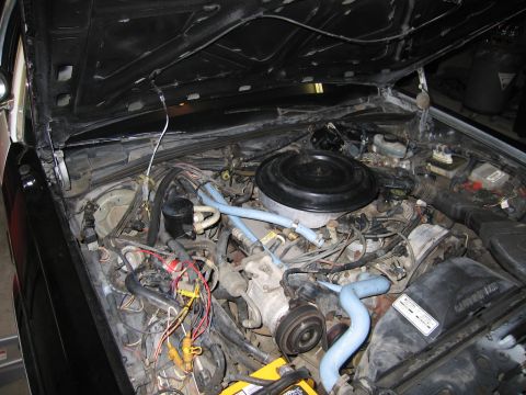 1991 Ford LTD Crown Victoria - Dusty engine bay of a car showing the round air cleaner, blue hoses, drive belt, and bundles of exposed wiring.