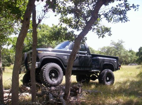 1984 Ford F-150 photo