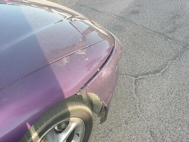 These are the pictures of what came