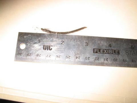1992 Ford Bronco - Metal shaving measured against a ruler showing its length.