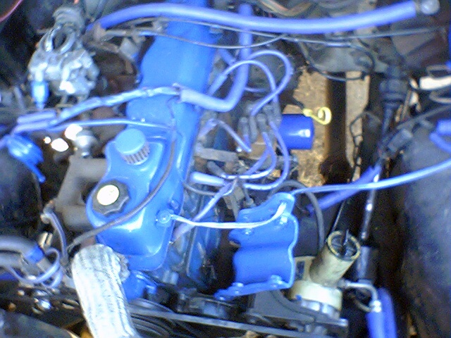 Blue-painted V8 engine bay close-up showing valve cover, distributor and blue plug wires