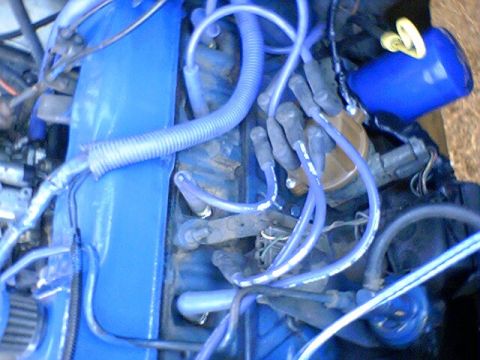 1986 Ford Bronco - Engine bay detail showing spark plug wires and distributor cap, with blue painted parts.