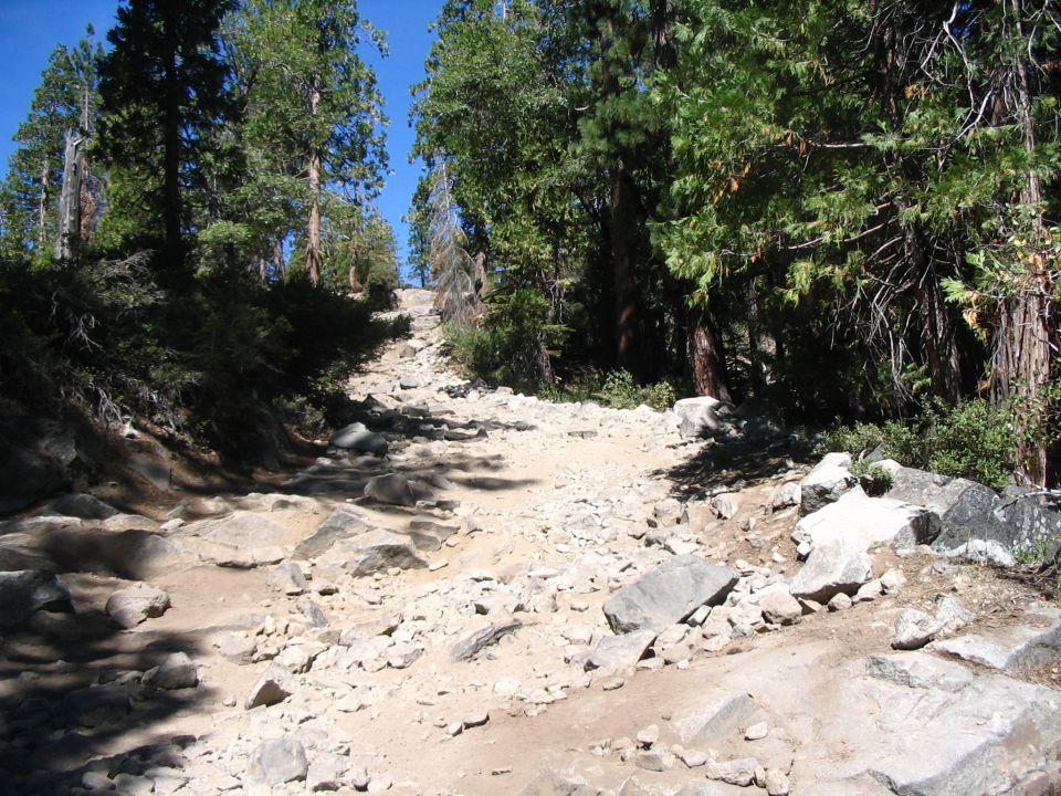 Steep rocky dirt trail climbing through pine forest under blue sky