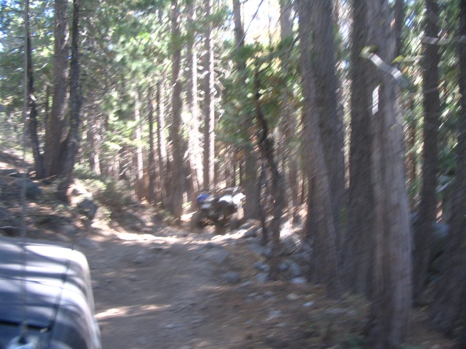 Blurry shot of a Jeep on a dirt trail through dense pines, hood of another vehicle in frame