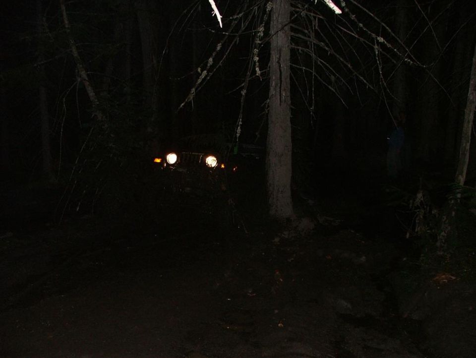 Round-headlight Jeep 4x4 lit up on a dark forest trail at night