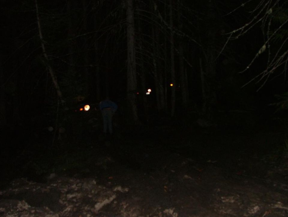Trucks with headlights on in a dark forest at night