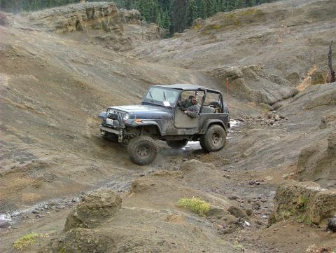1989 Dodge Power Ram “None Yet”