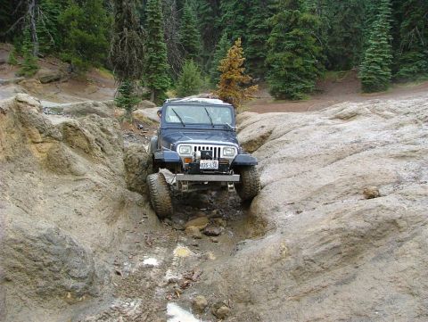 1989 Dodge Power Ram “None Yet”