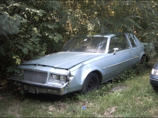 Light blue coupe parked in overgrown grass, front end damaged