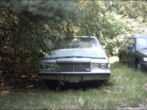 Light blue sedan with a chrome grille and quad headlights, partially obscured by trees