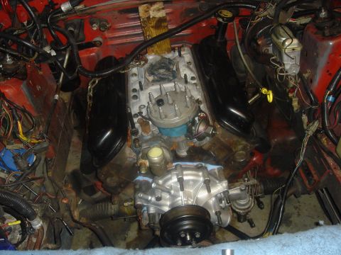 1986 Ford Mustang - Engine bay view of a V8 engine, consistent with a 1986 Ford Mustang, showing various components and wiring.