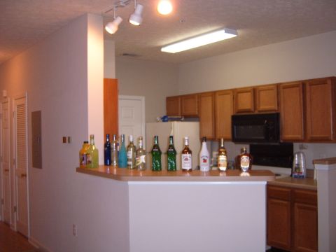 1988 Ford Bronco - A collection of liquor bottles are displayed on a kitchen counter, with cabinets and a microwave visible in the background.