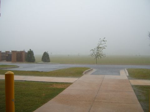 1988 Ford Bronco - A foggy day scene with trees and a parking lot visible.