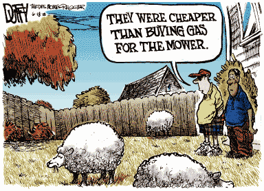 1972 Ford Ranchero - A cartoon depicting a conversation about the cost of gasoline, with sheep in the foreground.