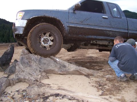 1993 Toyota Tacoma photo