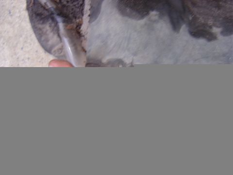 1987 Suzuki Samurai - This image shows a close-up of a vehicle part, likely from the undercarriage, with visible dirt and grime.