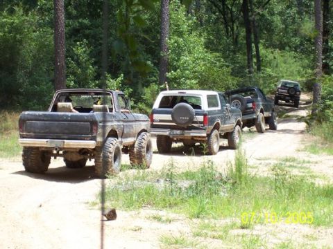 1993 Ford Bronco - A convoy of modified 4x4s navigates a wooded trail on a sunny day.
