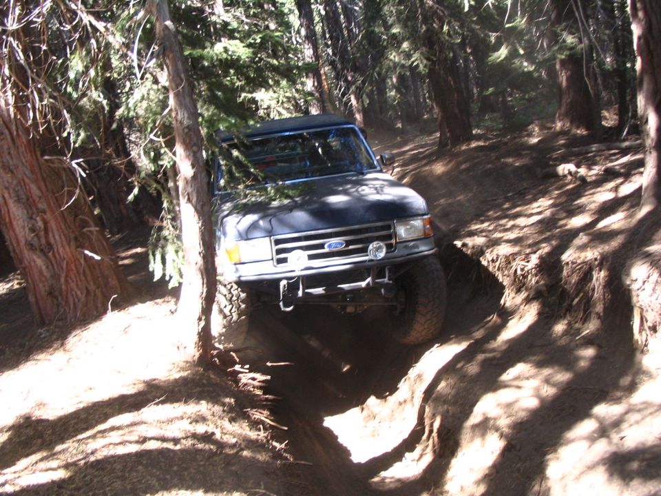Dark blue Ford pickup with winch bumper descending a steep eroded rut in pine woods