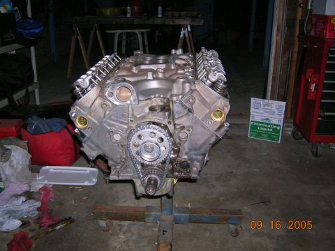 1985 Ford Bronco - A V8 engine is mounted on a stand, with a timing chain and gears exposed, in what appears to be a garage or workshop setting.