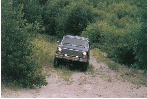 1986 Ford Bronco - A dark blue SUV navigates a sandy, overgrown path surrounded by dense foliage.