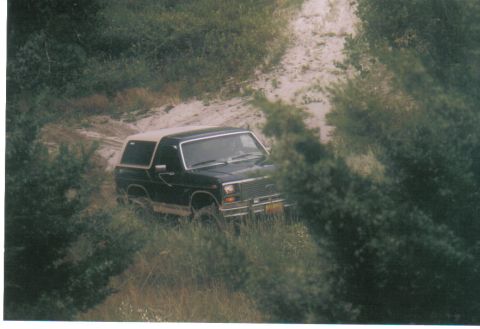 1986 Ford Bronco - A black Ford Bronco with a tan top navigates a dirt road surrounded by dense vegetation.
