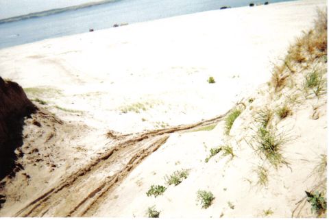 1986 Ford Bronco - Tire tracks mark a path down a sandy dune towards a lake or ocean.