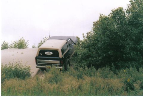 1986 Ford Bronco - A Ford Bronco navigates a sandy terrain with dense foliage on the right.