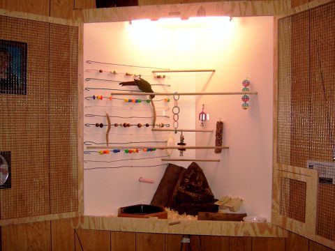 1981 Ford Bronco - This image shows the interior of a bird cage, complete with perches, toys, and a bird.