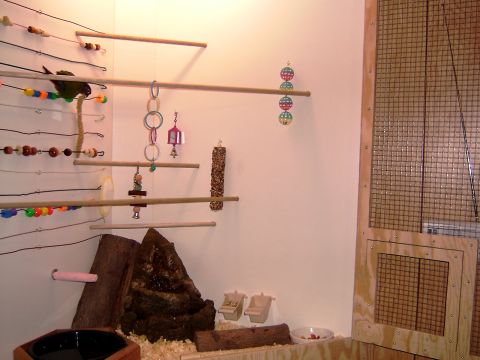 1981 Ford Bronco - Interior view of a bird cage setup with various toys and perches for birds.