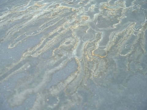 1982 Ford Bronco - The surface shows a pattern of weathering and discoloration, possibly on a vehicle's exterior.