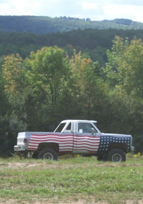 1979 Ford F-150 - A pickup truck painted with an American flag design sits in a grassy field with trees in the background.