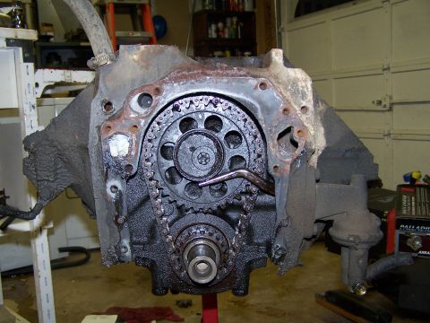 1979 Ford F-150 - Close-up view of an engine's timing chain and gears, with a fuel pump mounted on the block.