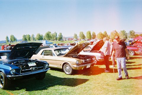 1972 Ford Ranchero - Several classic Ford Mustangs are on display at an outdoor car show, with their hoods open for viewing.