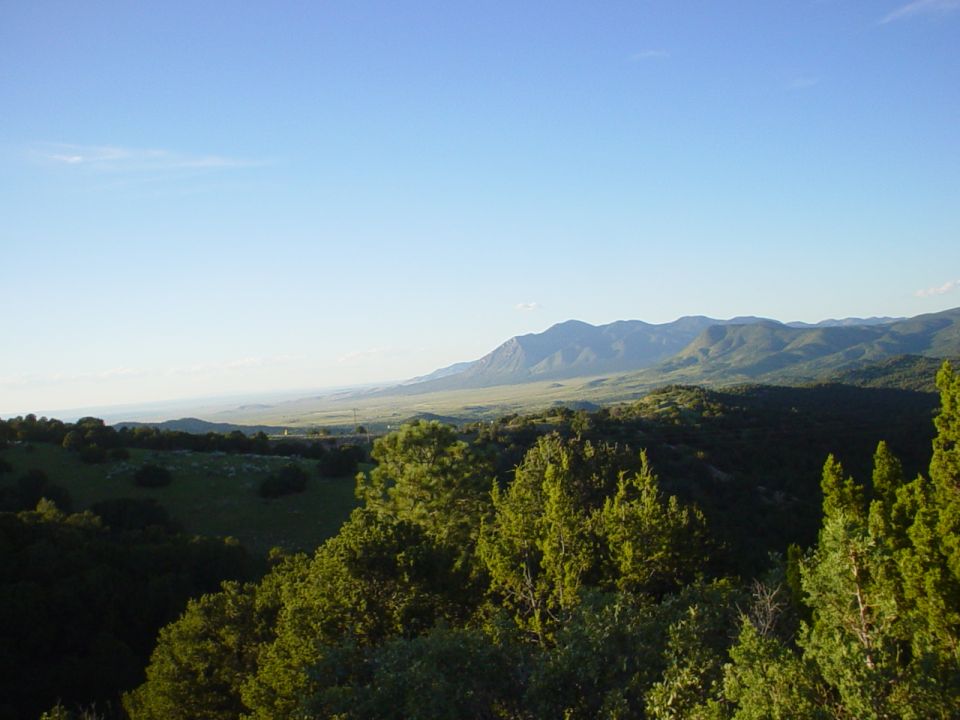 Mountain range under a clear blue sky, with foreground trees