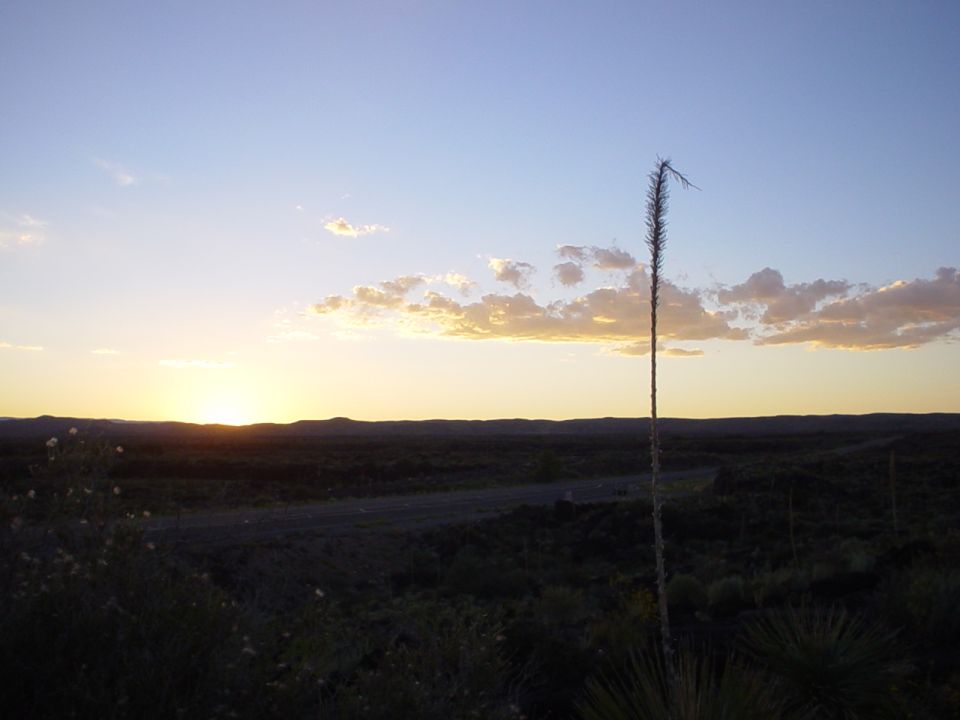 Desert landscape with a tall plant and sunset sky. Supermotors.net logo in corner