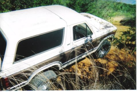 1982 Ford Bronco - This 1980 Ford Bronco navigates a rough, grassy terrain, its off-road capabilities.