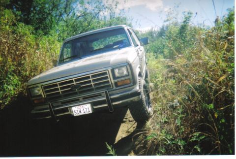 1982 Ford Bronco - This Ford Bronco is navigating a rough, overgrown trail.