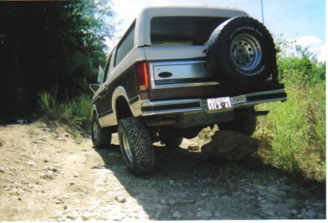 1982 Ford Bronco - This Ford Bronco is navigating a rough, unpaved trail with dense foliage on the sides.