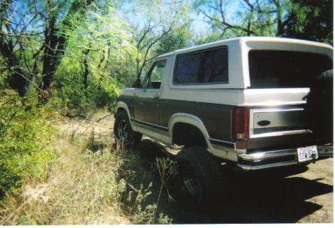 1982 Ford Bronco - This two-tone brown and white SUV is seen off-roading on a dirt path surrounded by trees.