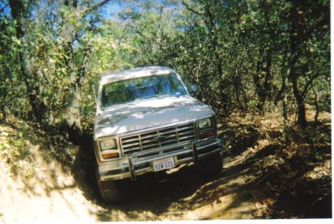 1982 Ford Bronco - A white Ford Bronco navigates a wooded trail, its front grille and headlights clearly visible.