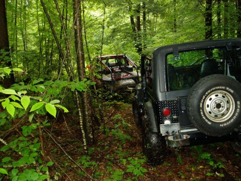 2000 Ford E350 - Two off-road vehicles navigate a wooded trail, one in the foreground and another further back.